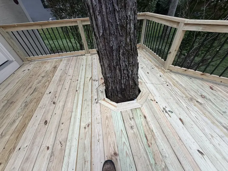 Deck Built Around a Tree