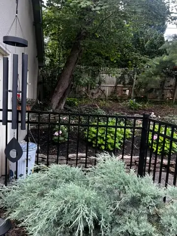 Ornamental Fence and Driveway Gate