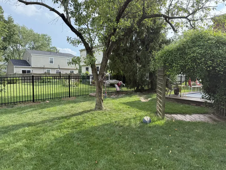Ornamental Fence and Driveway Gate