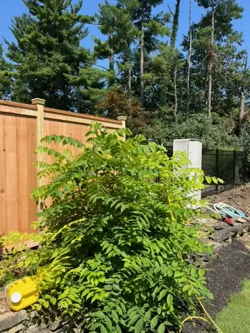 Wood Privacy Fencing