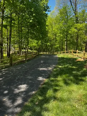 Wooded Path and Garden Fencing